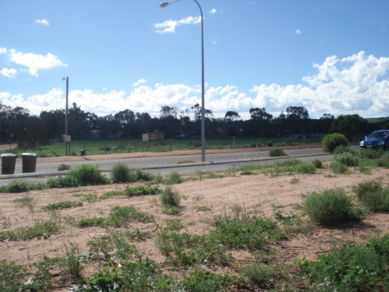 19 Andrew Close, Waggrakine WA 6530