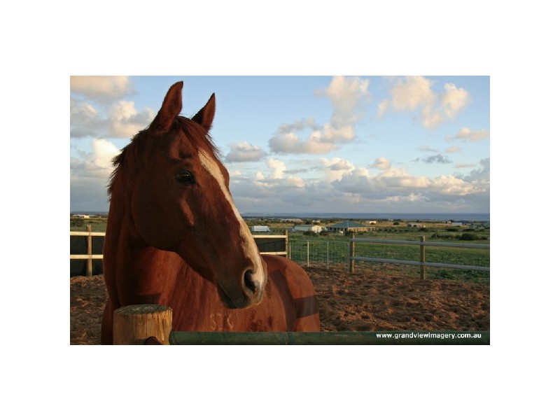 240 Eliza Shaw Drive, White Peak WA 6532