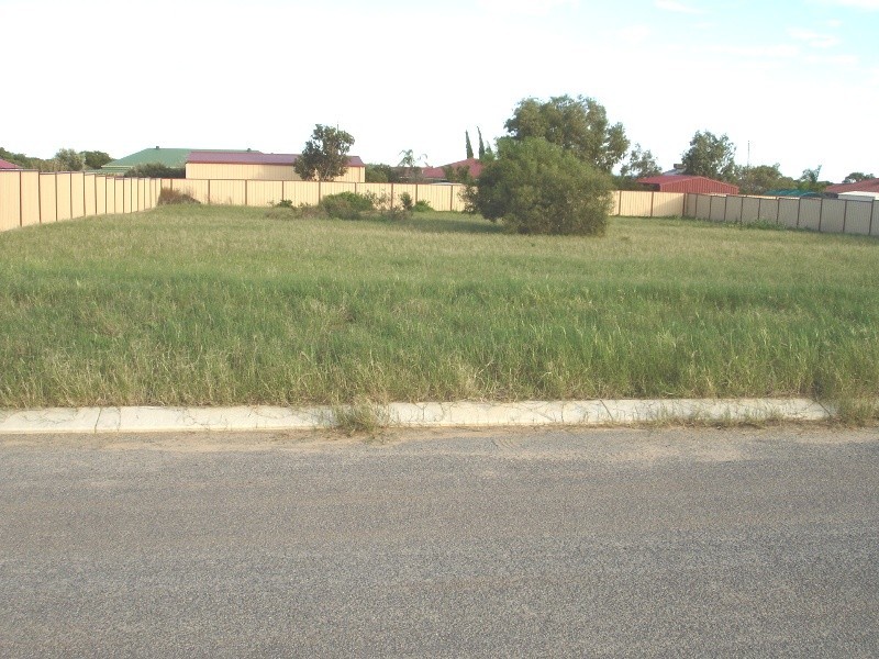 12 Amar Court, Waggrakine WA 6530