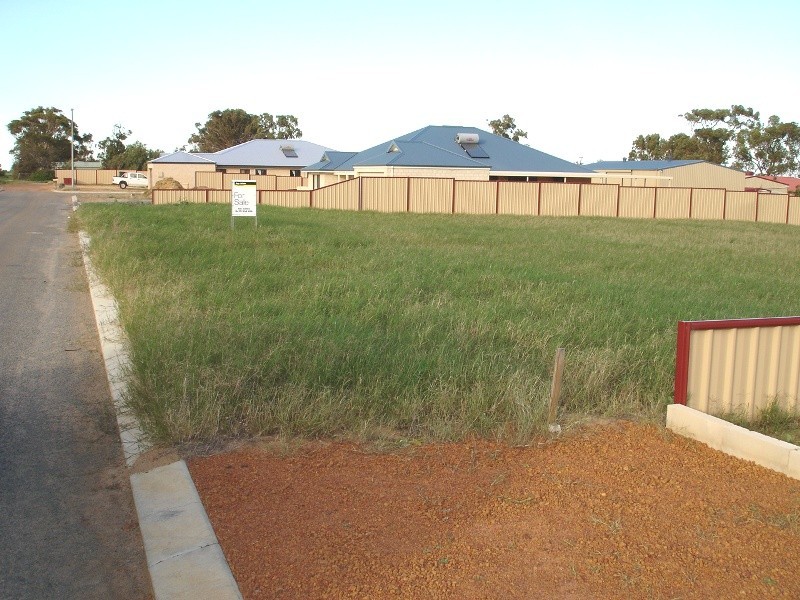 12 Amar Court, Waggrakine WA 6530