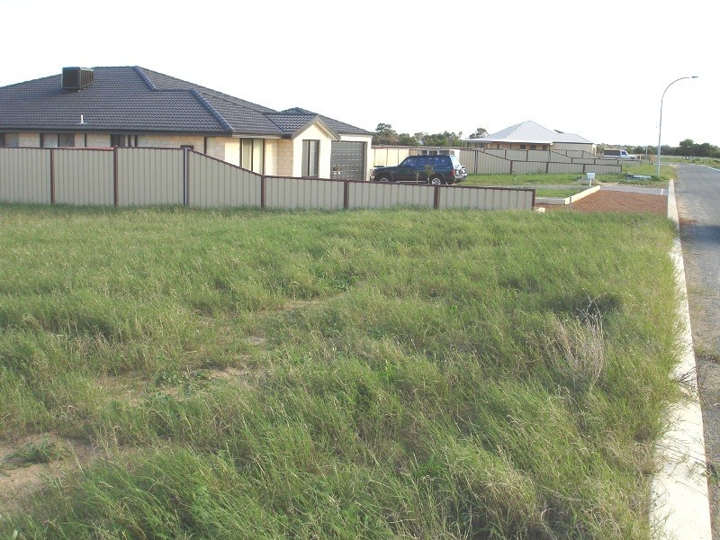 12 Amar Court, Waggrakine WA 6530