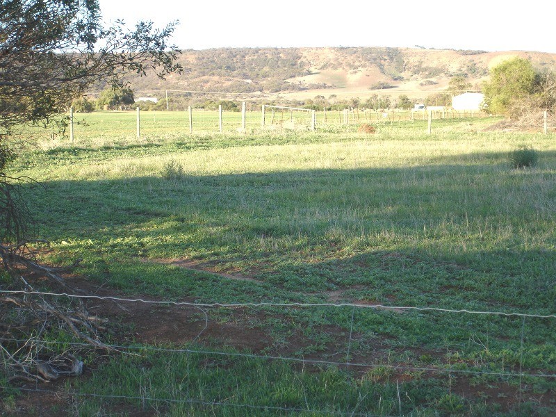 58 Calder Place, Waggrakine WA 6530