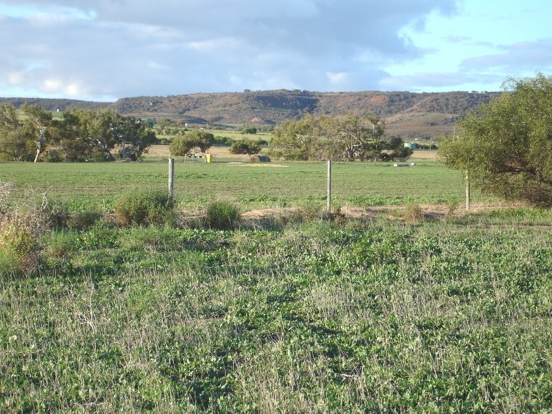 58 Calder Place, Waggrakine WA 6530