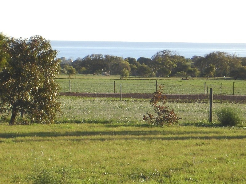 58 Calder Place, Waggrakine WA 6530