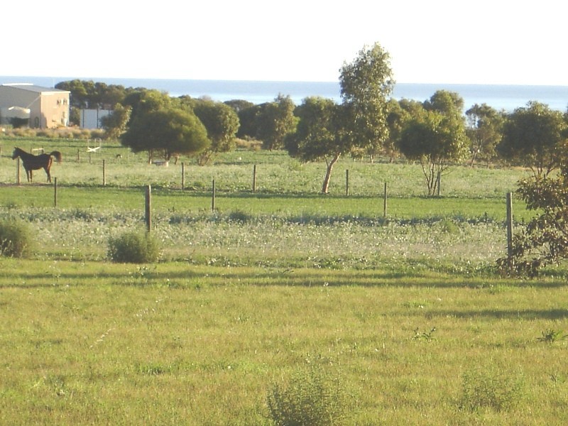 58 Calder Place, Waggrakine WA 6530