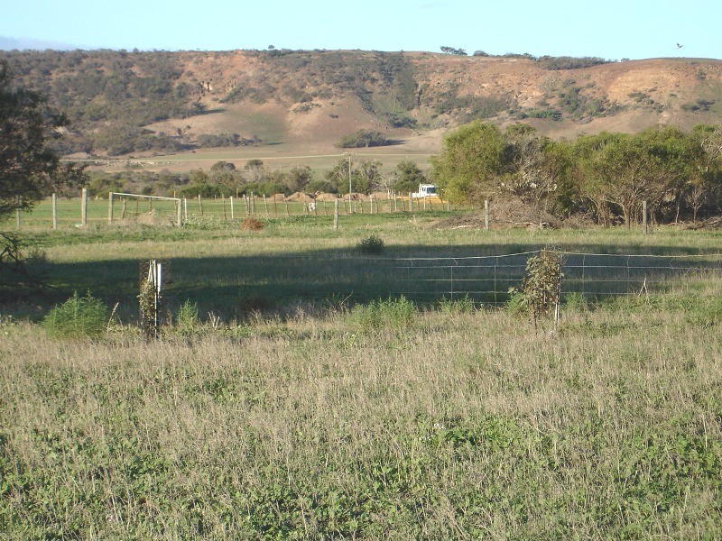 58 Calder Place, Waggrakine WA 6530