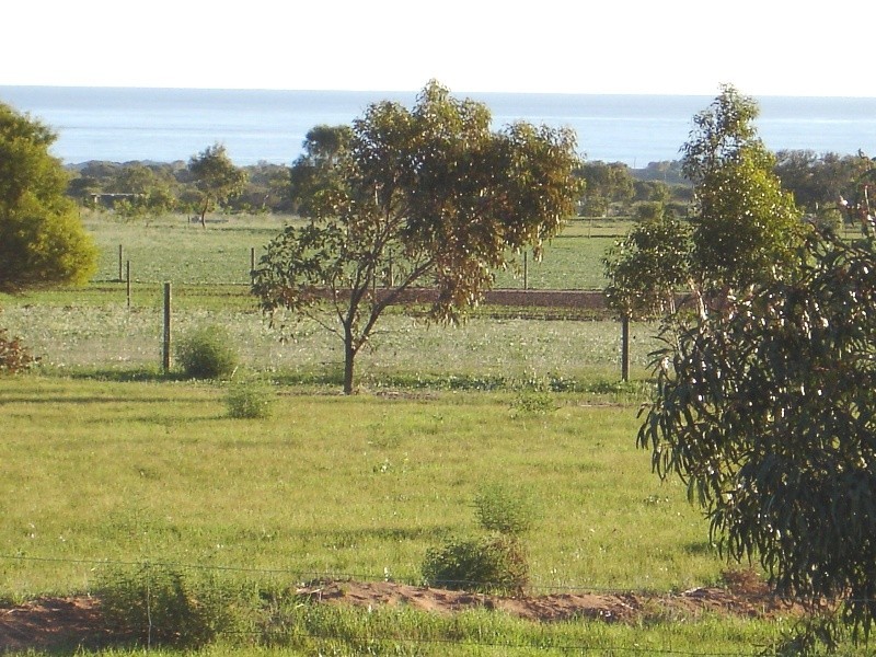 58 Calder Place, Waggrakine WA 6530