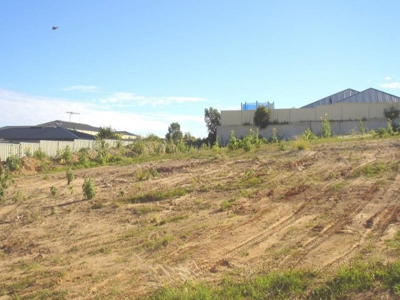 3 Basile Court, Wandina WA 6530