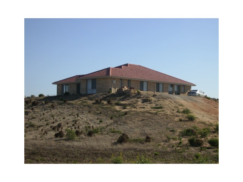 40 African Reed Boulevard, Greenough WA 6532