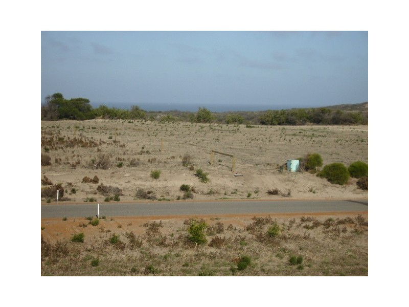 40 African Reed Boulevard, Greenough WA 6532