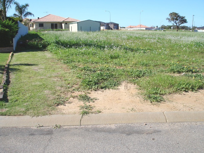 8 Halfmoon Drive, Waggrakine WA 6530