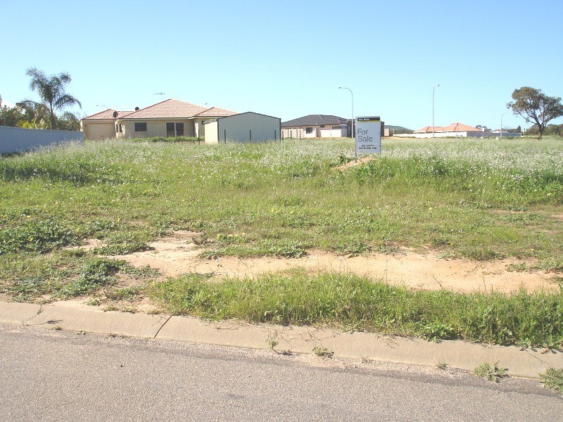 8 Halfmoon Drive, Waggrakine WA 6530