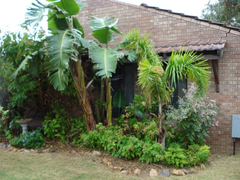 54 Simpson Street, Geraldton WA 6530