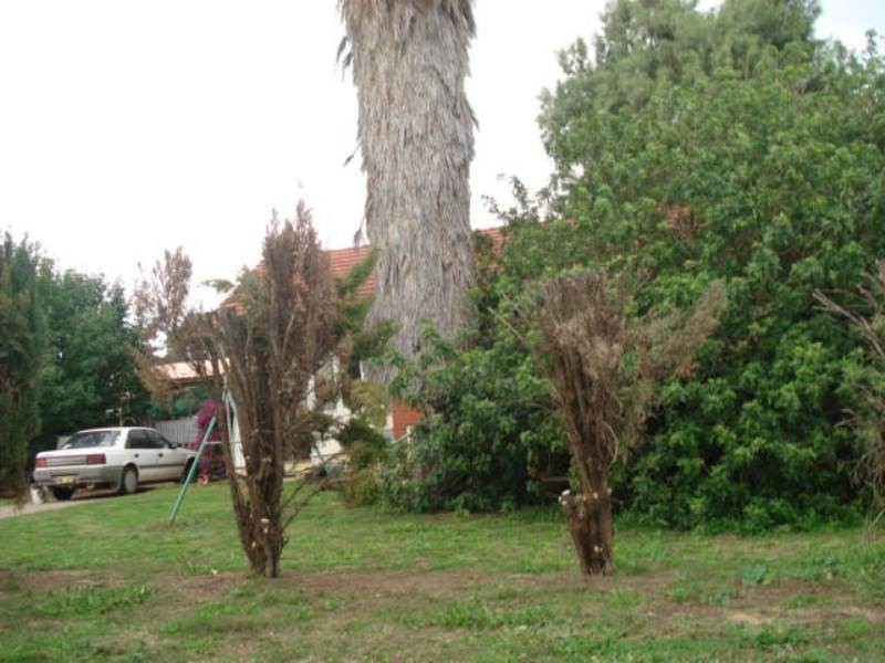 8 Hovea Street, Rangeway WA 6530