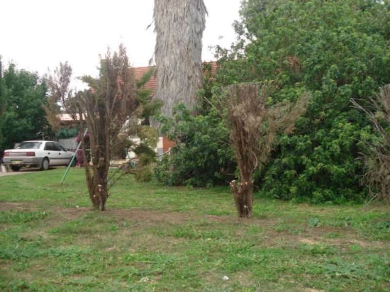 8 Hovea Street, Rangeway WA 6530