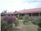 216 Cooper Street, Waggrakine WA 6530