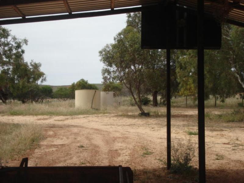 216 Cooper Street, Waggrakine WA 6530