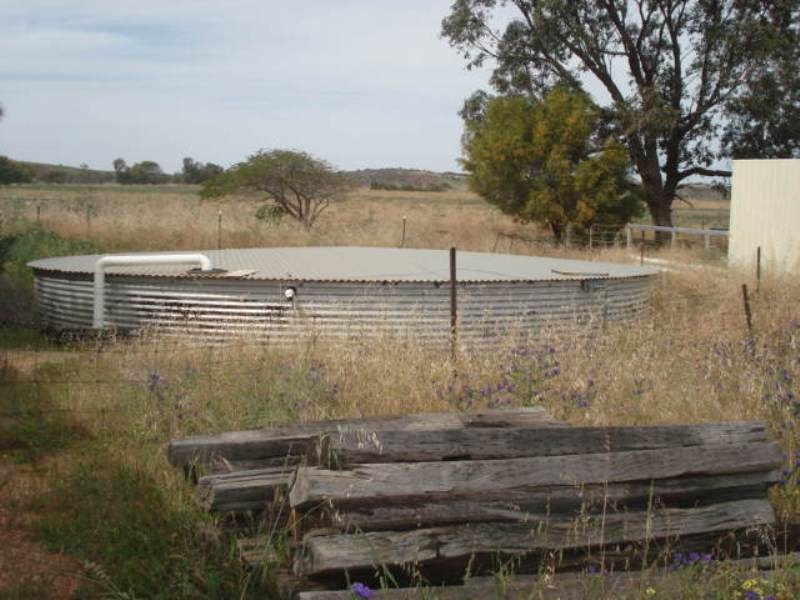 216 Cooper Street, Waggrakine WA 6530