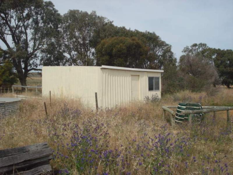 216 Cooper Street, Waggrakine WA 6530