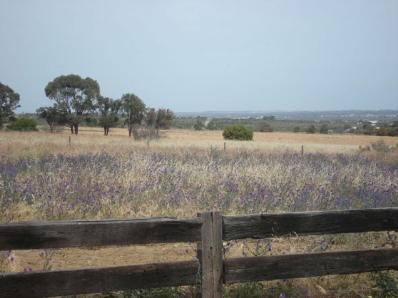 216 Cooper Street, Waggrakine WA 6530