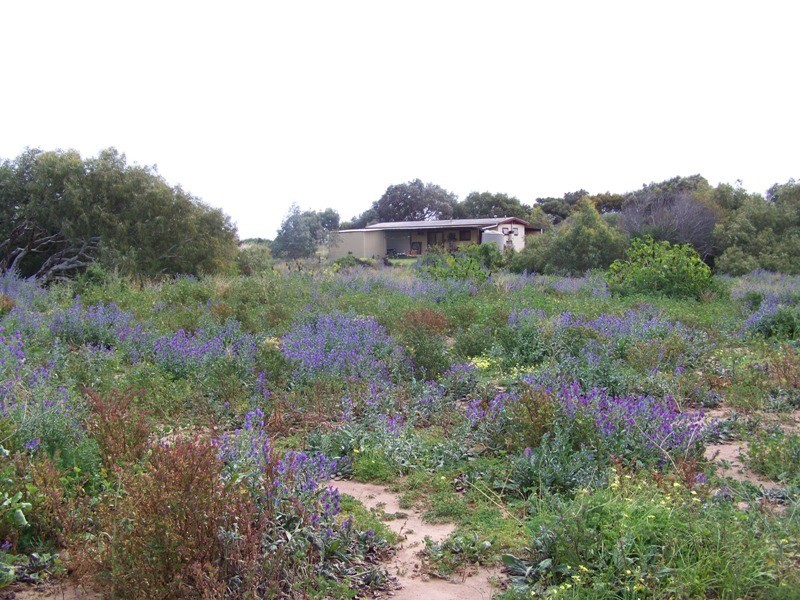 Lot 201 Company Road, Greenough WA 6532