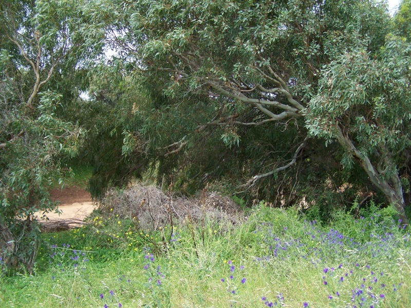 Lot 201 Company Road, Greenough WA 6532