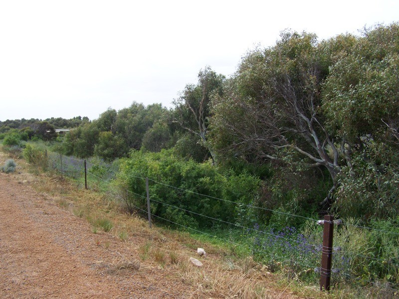 Lot 201 Company Road, Greenough WA 6532