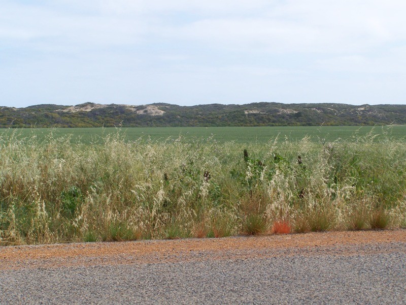Lot 201 Company Road, Greenough WA 6532