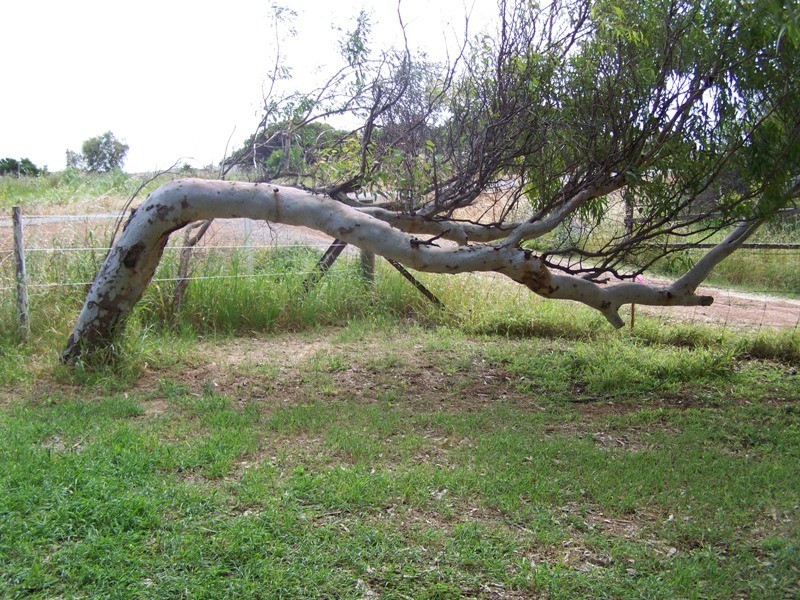 Lot 201 Company Road, Greenough WA 6532