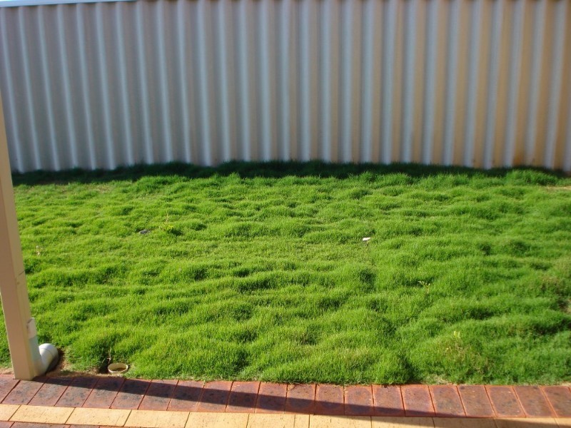 56 Ego Creek Loop, Geraldton WA 6530