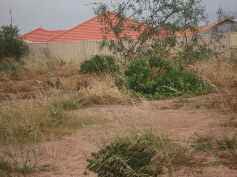 16 Angler Parade, Drummond Cove WA 6532