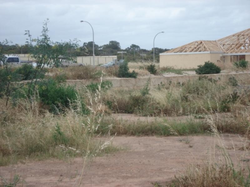 16 Angler Parade, Drummond Cove WA 6532