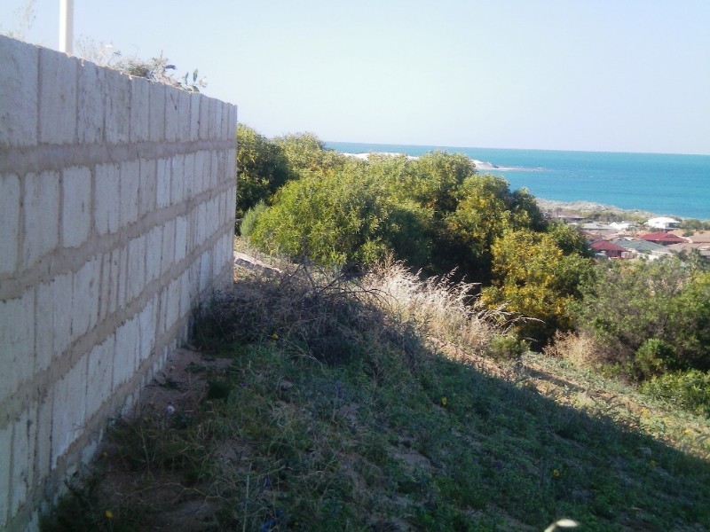 6 Old Acres Court, Wandina WA 6530