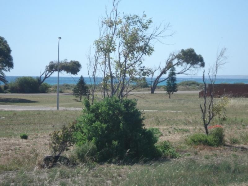 4 Stillwater Avenue, Drummond Cove WA 6532