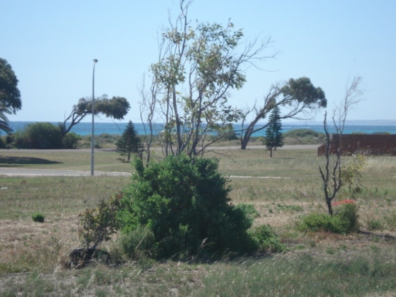 4 Stillwater Avenue, Drummond Cove WA 6532