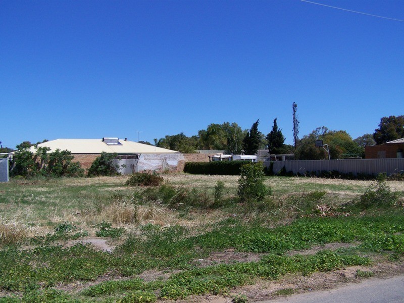 9 Vincent Street, Spalding WA 6530