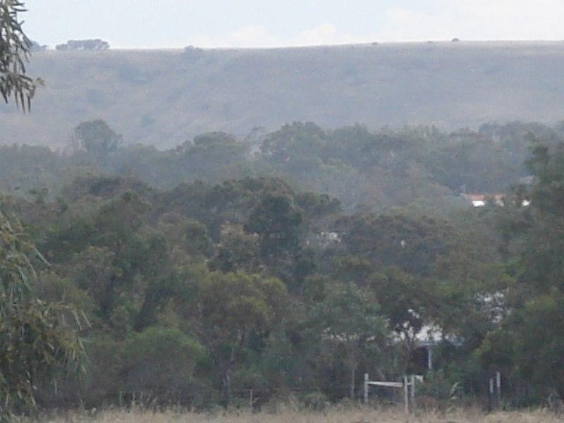 59 Sutcliffe Road, Waggrakine WA 6530