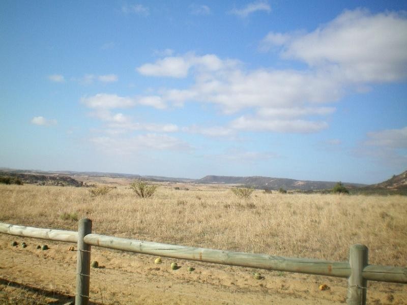 Lot 79 Eliza Shaw Drive, White Peak WA 6532