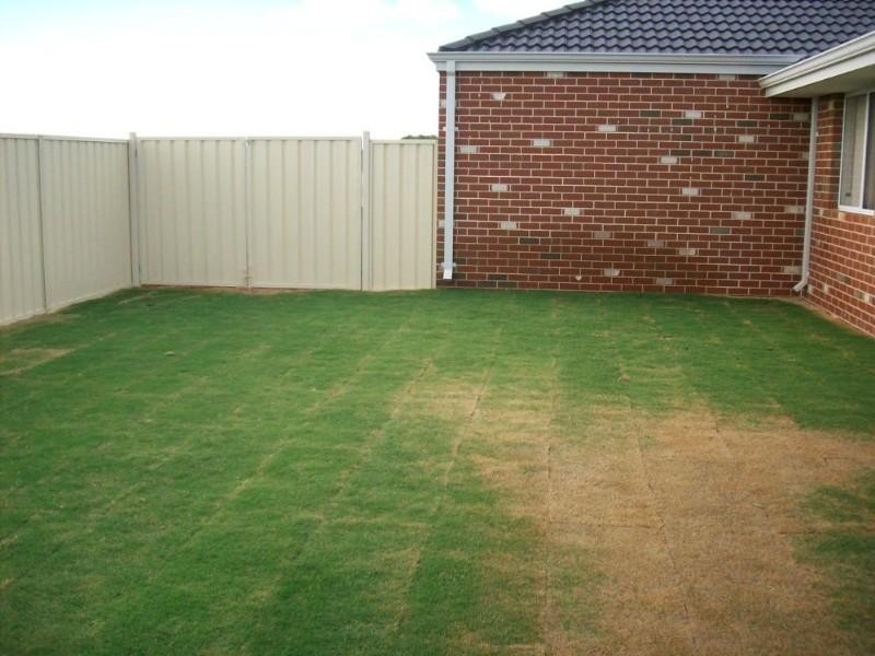 59 Columbus Boulevard, Geraldton WA 6530