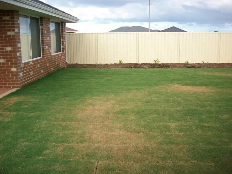 59 Columbus Boulevard, Geraldton WA 6530