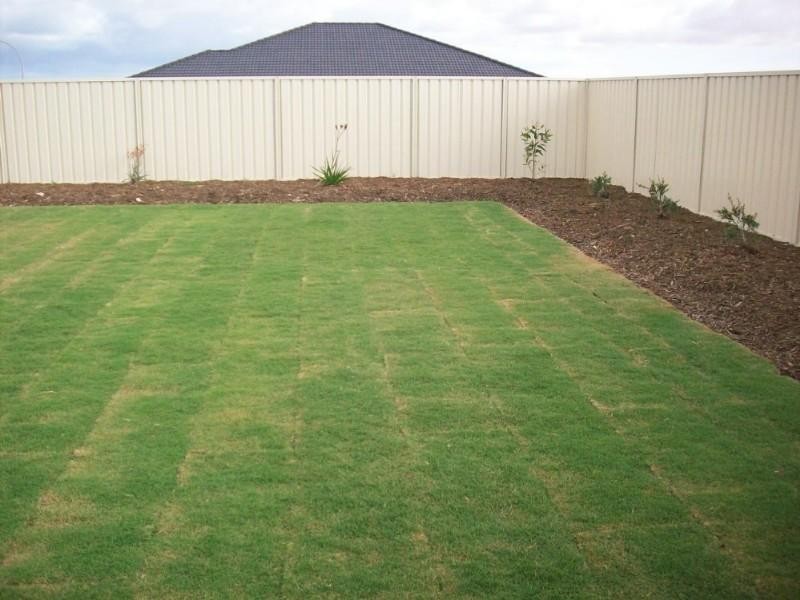 59 Columbus Boulevard, Geraldton WA 6530