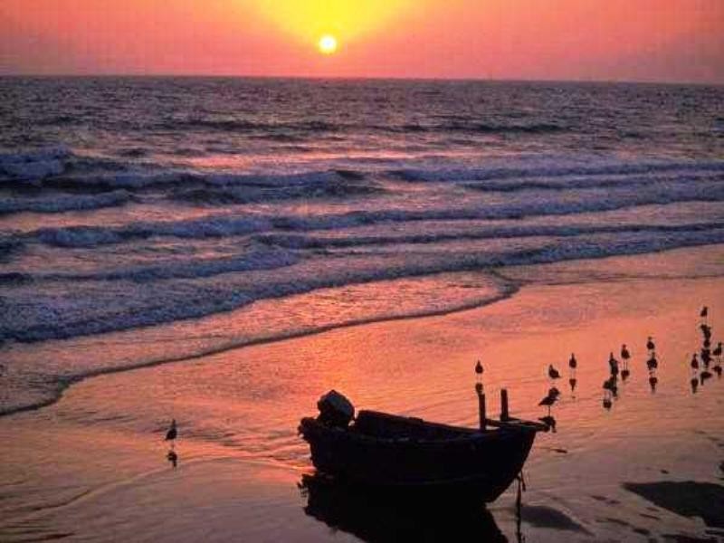 9 Barnacle Street, Drummond Cove WA 6532