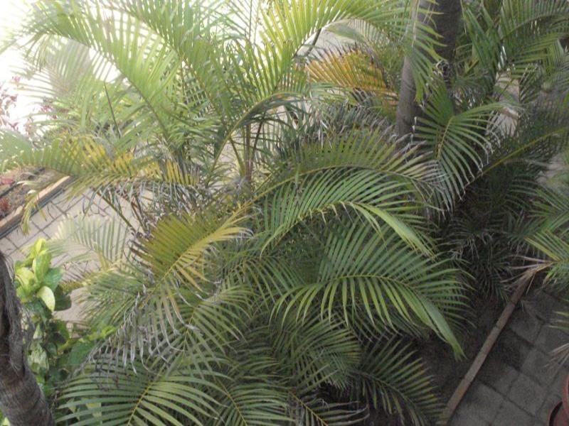 12/198 Chapman Road, Geraldton WA 6530