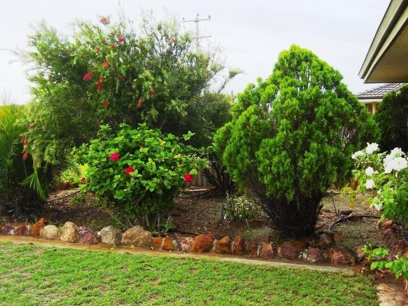 56 Mcaleer Drive, Mahomets Flats WA 6530