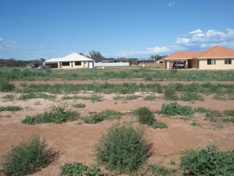 19 Andrew Lane, Waggrakine WA 6530