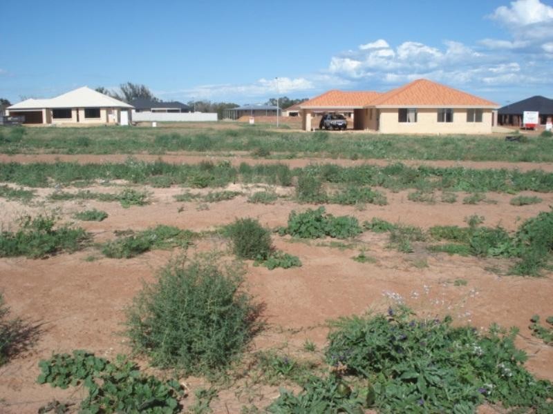 19 Andrew Lane, Waggrakine WA 6530