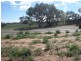 19 Andrew Lane, Waggrakine WA 6530