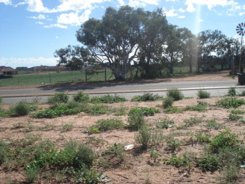 19 Andrew Lane, Waggrakine WA 6530