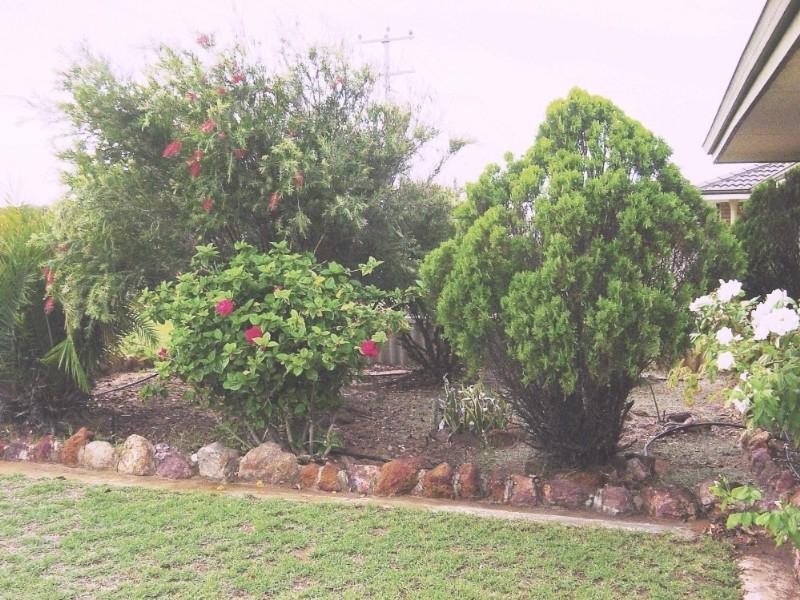 56 Mcaleer Drive, Geraldton WA 6530