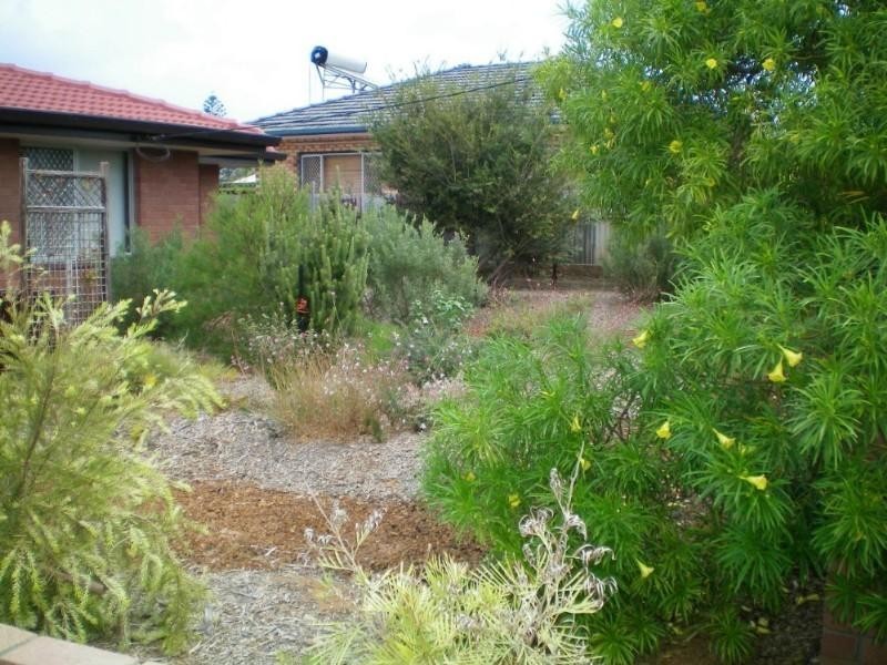 89 Carson Terrace, Geraldton WA 6530